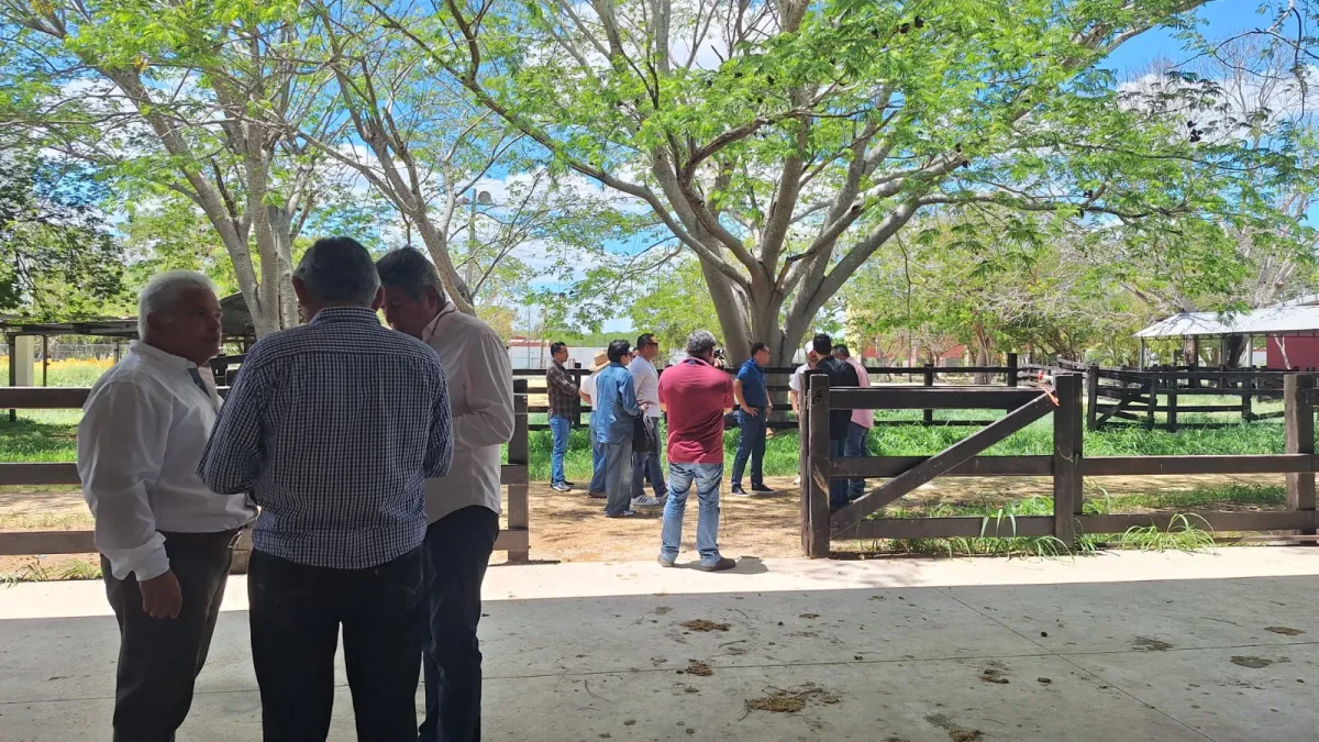 Dirigentes agropecuarios y ganaderos recorrieron las instalaciones de Xmatkuil 