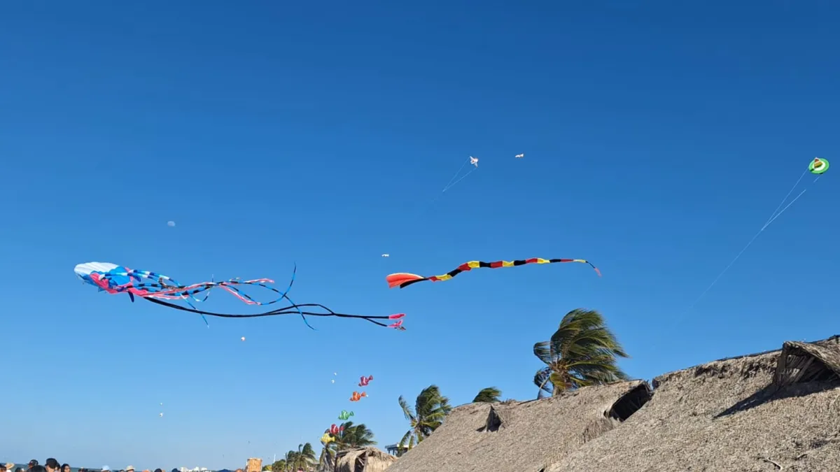 Papagayos y cometas conquistaron el cielo de Progreso