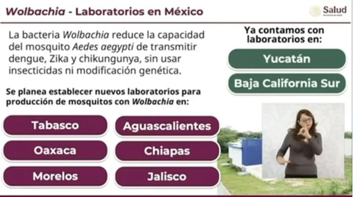 Yucatán destaca en estrategia nacional contra el dengue 