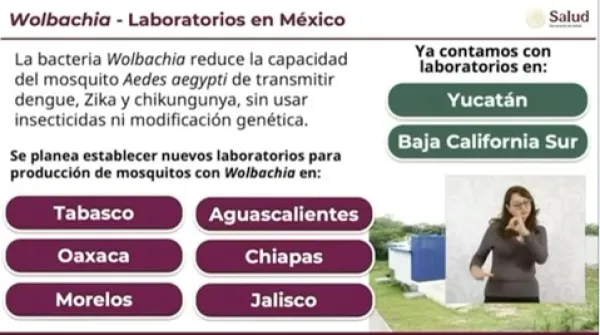 Yucatán destaca en estrategia nacional contra el dengue 