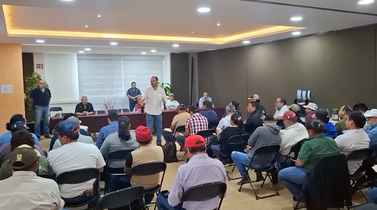 La Secretaría de Desarrollo Rural, capacitó 30 técnicas y técnicos operativos para la Supresión del Gusano Barrenador del Ganado.