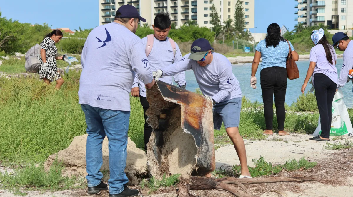 Comunidad y organizaciones se suman al cuidado de las playas de Progreso