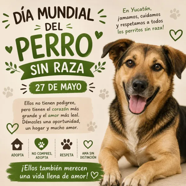 Día del Perro sin Raza cada 27 de mayo