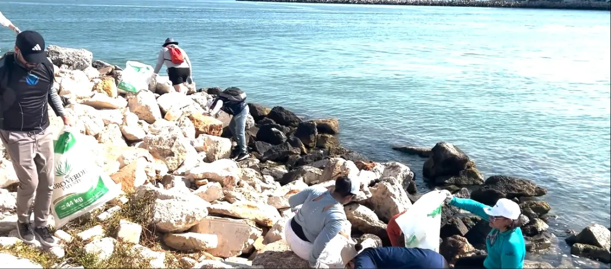 Sanean Playa Cerditos como parte del programa de limpieza costera. Durante la jornada se retiraron 533.6 kilogramos de residuos, un 56% menos que los 1,228.3 kilogramos recolectados en 2025.