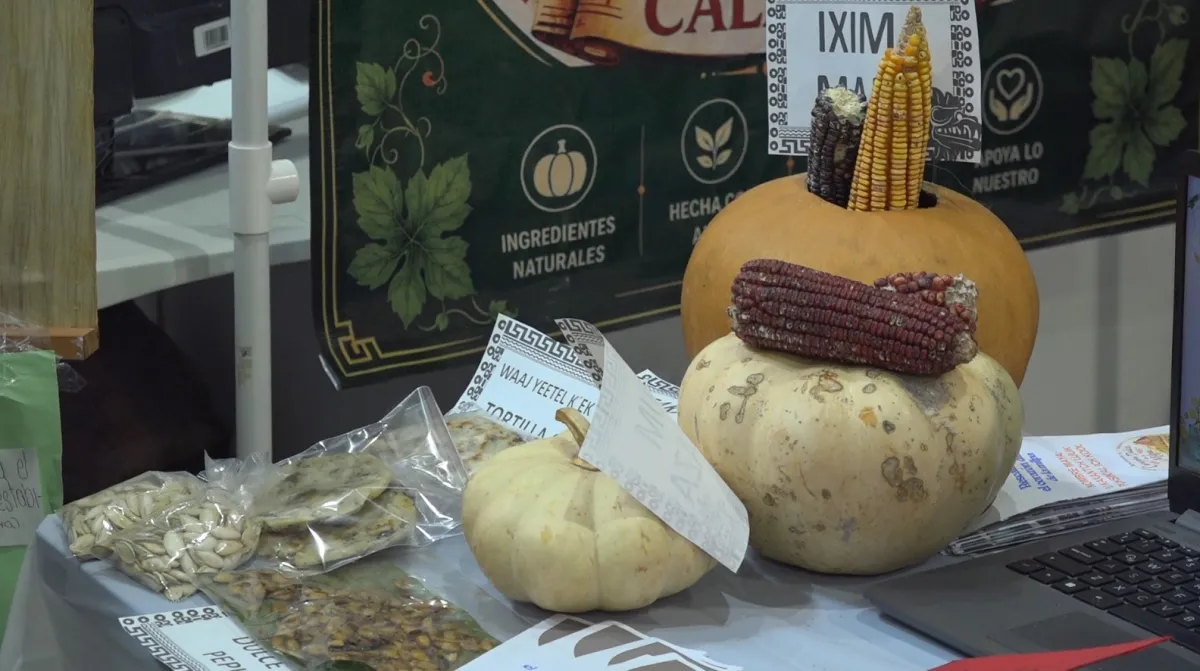 Feria de la Ciencia y Saberes Mayas: Herencia y Futuro