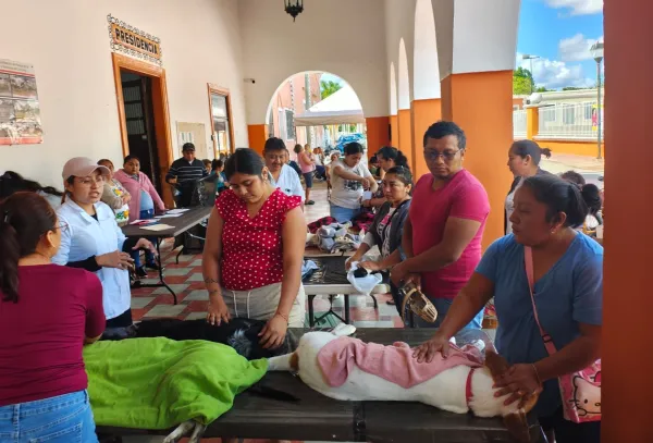 Imagen de la noticia