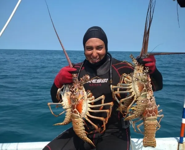 Inicia temporada de captura de langosta en Yucatán 