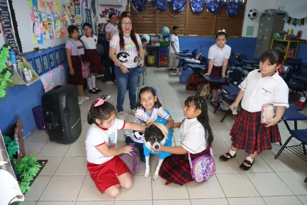 Imagen de la noticia